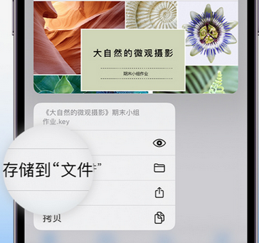 围场apple维修中心分享iPhone文件应用中存储和找到下载文件