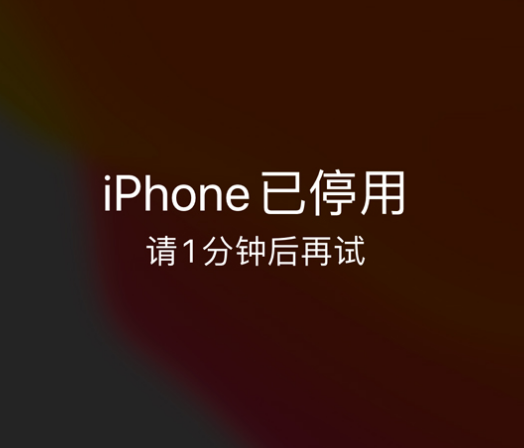 围场苹果手机维修分享:iPhone 显示“不可用”或“已停用”怎么办？还能保留数据吗？ 