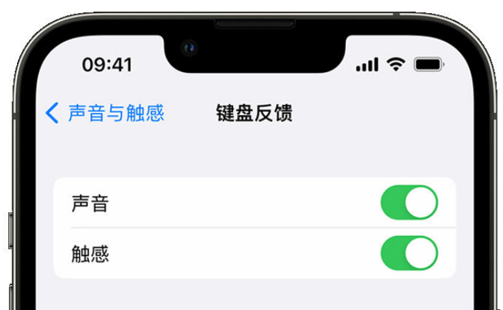 围场苹果手机维修分享iPhone 14触感键盘使用方法 