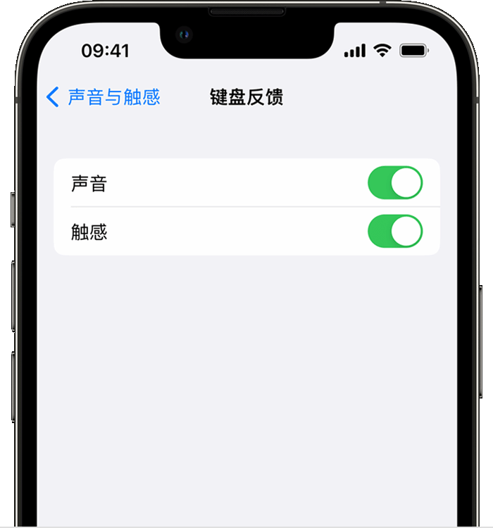 围场苹果14维修店分享如何在 iPhone 14 机型中使用触感键盘 