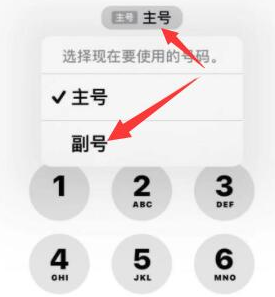 围场苹果14维修店分享iPhone 14 Pro Max使用副卡打电话的方法 