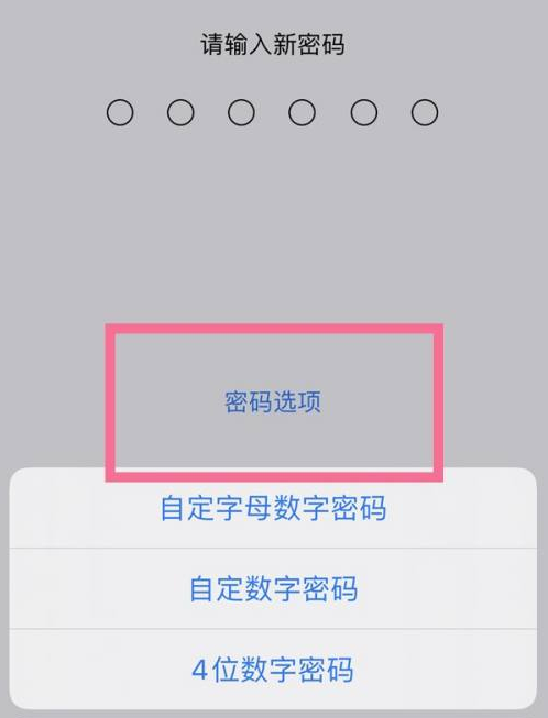 围场苹果14维修分享iPhone 14plus设置密码的方法 