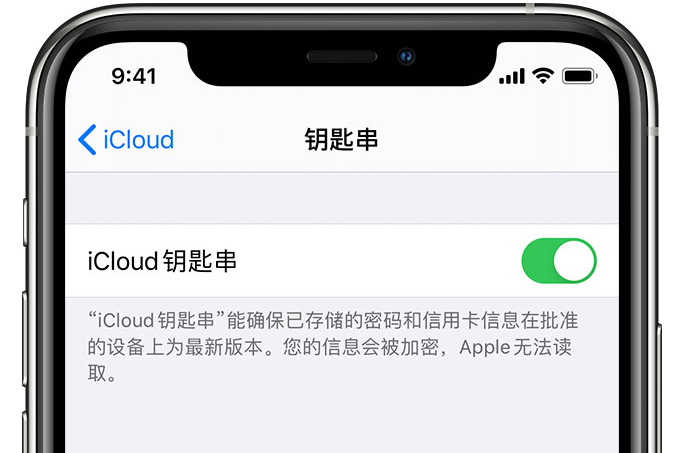 围场苹果手机维修分享在 iPhone 上开启 iCloud 钥匙串之后会储存哪些信息 