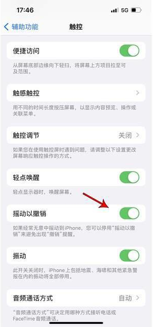 围场苹果手机维修分享iPhone手机如何设置摇一摇删除文字 