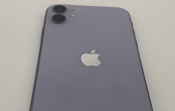 围场苹果11系统维修分享iPhone11手机系统崩溃无法开机如何解决 